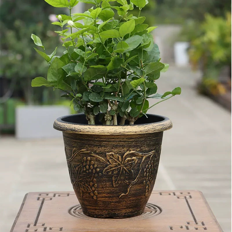 Vintage European Style PP Planter with Grape Leaf Embossment
